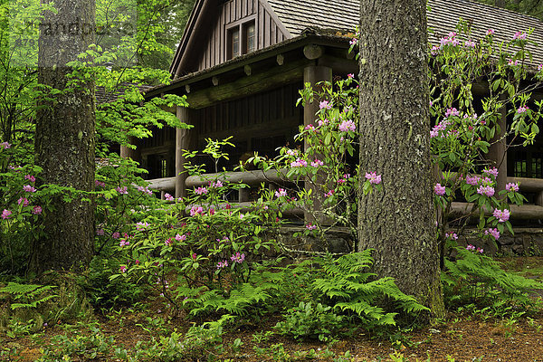 Vereinigte Staaten von Amerika  USA  State Park  Provincial Park  Amerika  Blume  blühen  Gebäude  Architektur  Blüte  Kabine  Rhododendron  Oregon