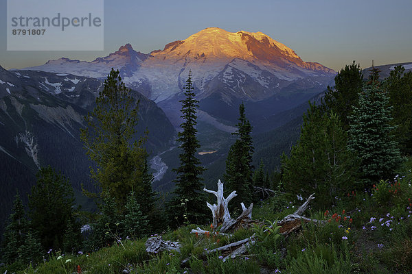 Vereinigte Staaten von Amerika  USA  Nationalpark  Berg  Amerika  Sonnenaufgang  Vulkan  Berggipfel  Gipfel  Spitze  Spitzen  Gletscher  Wiese  Washington State  Mount Rainier Nationalpark