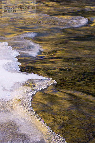 Vereinigte Staaten von Amerika USA State Park Provincial Park Wasser Winter Amerika Spiegelung Eis fließen Fluss Bach Gold Oregon Schnee