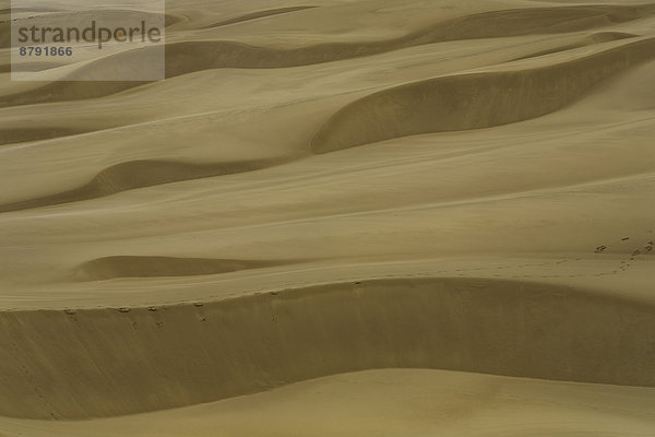 Vereinigte Staaten von Amerika  USA  Amerika  Küste  trocken  Abstraktion  Sand  Düne  Oregon