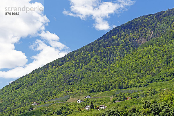 Panorama  Landschaftlich schön  landschaftlich reizvoll  bauen  Trentino Südtirol  Europa  Berg  Baum  Landschaft  Gebäude  Pflanze  Italien  Tourismus