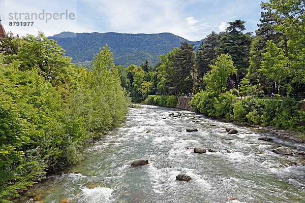 Sehenswürdigkeit  Wasser  Trentino Südtirol  Europa  Berg  Stein  Baum  Tal  Brücke  Pflanze  Fluss  Italien  Meran  Tourismus