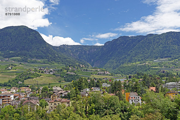 Panorama  Landschaftlich schön  landschaftlich reizvoll  Sehenswürdigkeit  Baustelle  Trentino Südtirol  Europa  Berg  Baum  Landschaft  Gebäude  Italien  Meran  Tourismus