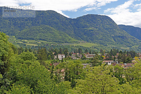 Panorama  Landschaftlich schön  landschaftlich reizvoll  Sehenswürdigkeit  Baustelle  Trentino Südtirol  Europa  Berg  Baum  Landschaft  Gebäude  Tal  Italien  Meran  Tourismus
