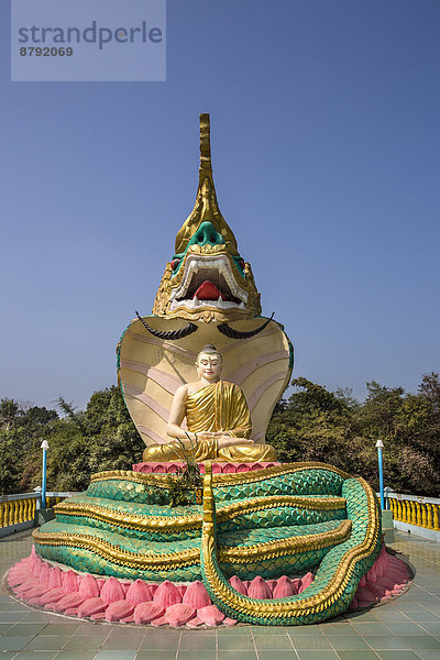Farbaufnahme  Farbe  Reise  Architektur  bunt  Religion  Tourismus  Myanmar  Asien  Buddha  Buddhismus  Kobra  exotisch
