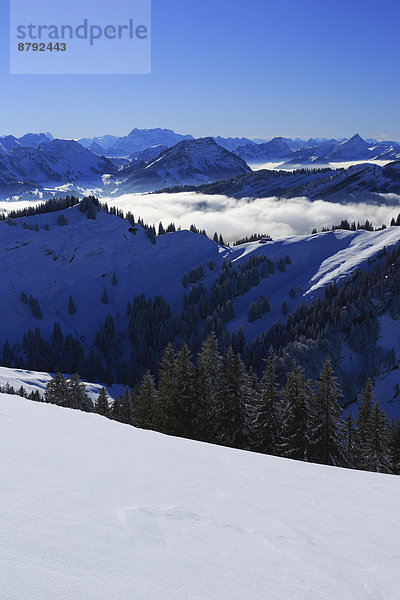 Panorama  Europa  Schneedecke  Berg  Winter  Himmel  Dunst  Schnee  Nebel  Alpen  blau  Ansicht  Sonnenlicht  Westalpen  Kronberg  Bergmassiv  Mattstock  schweizerisch  Schweiz