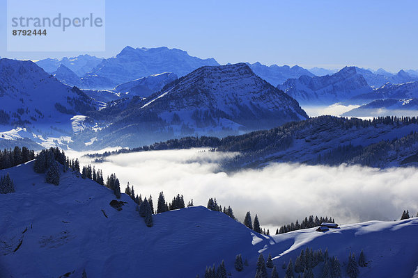 Panorama  Europa  Schneedecke  Berg  Winter  Himmel  Dunst  Schnee  Nebel  Alpen  blau  Ansicht  Sonnenlicht  Westalpen  Kronberg  Bergmassiv  Mattstock  schweizerisch  Schweiz