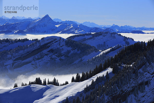 Panorama  Europa  Schneedecke  Berg  Winter  Himmel  Dunst  Schnee  Nebel  Alpen  blau  Ansicht  Sonnenlicht  Westalpen  Kronberg  Bergmassiv  schweizerisch  Schweiz