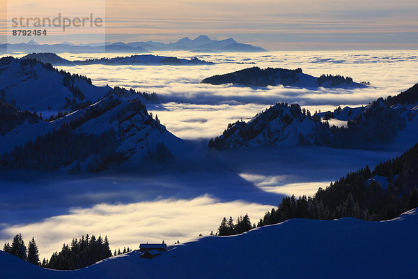Panorama  Europa  Schneedecke  Berg  Winter  Abend  Sonnenuntergang  Himmel  Dunst  Schnee  Nebel  Alpen  blau  Ansicht  Sonnenlicht  Westalpen  Kronberg  Bergmassiv  schweizerisch  Schweiz