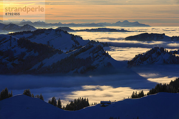 Panorama  Europa  Schneedecke  Berg  Winter  Abend  Sonnenuntergang  Himmel  Dunst  Schnee  Nebel  Alpen  blau  Ansicht  Sonnenlicht  Westalpen  Kronberg  Bergmassiv  schweizerisch  Schweiz