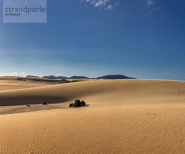 Europa  Sommer  Landschaft  Hügel  Wüste  Sand  Kanaren  Kanarische Inseln  Corralejo  Fuerteventura  Spanien