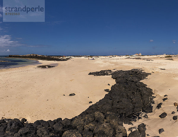 Europa  Strand  Sommer  Landschaft  Kanaren  Kanarische Inseln  Fuerteventura  Spanien