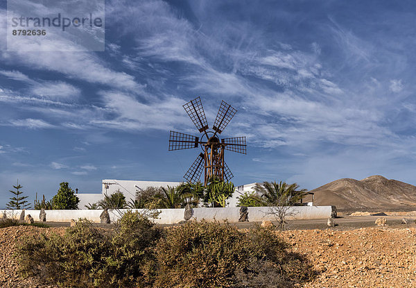 Windturbine  Windrad  Windräder  Europa  Sommer  Hügel  Kanaren  Kanarische Inseln  Fuerteventura  Spanien