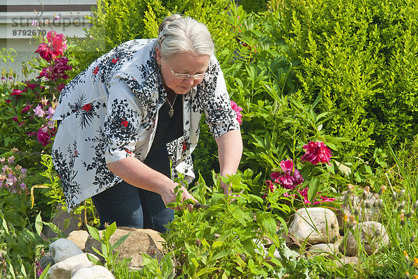 Freizeit  Frau  Mensch  arbeiten  Menschen  Blume  Beruf  Garten  Gartenbau  Hobby  Gärtner  Gewürz