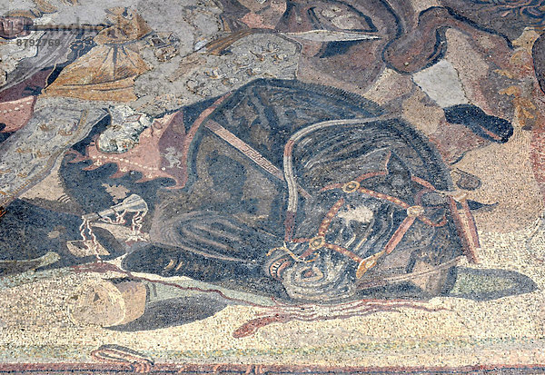 Europa  Schutz  Tier  Pferd  Equus caballus  Stadt  Archäologie  Geschichte  Ruine  Kunst  töten  reparieren  Schmerz  Verletzung  aufheben  Tierblut  Blut  Italienisch  Italien  Mosaik  römisch