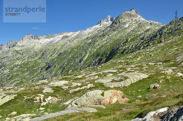 blauer Himmel  wolkenloser Himmel  wolkenlos  Wasser  Europa  Berg  Sommer  grün  See  Natur  Ansicht  Berner Alpen  Bern  Grimselpass  schweizerisch  Schweiz
