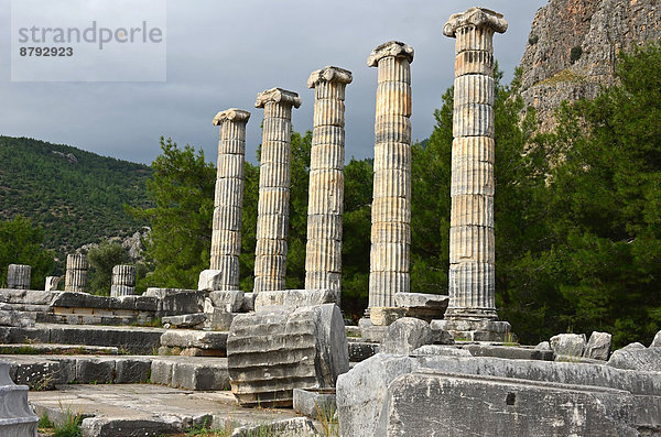 Truthuhn  Finanzen  Gebäude  Archäologie  Architektur  Geschichte  Griechenland  Römisches Reich  Tempel  antik  griechisch  römisch  Türkei