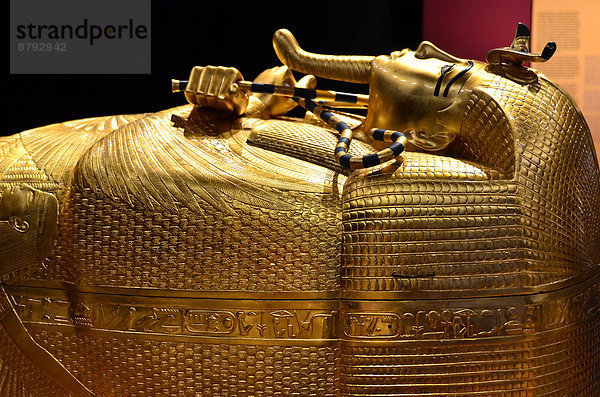Schutz Reichtum Monarchie Schatz Gold Glück Sarg König - Monarchie Ägypten Stärke Sarkophag