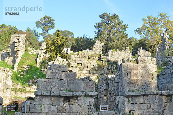 Truthuhn  Wand  Stadt  Architektur  Geschichte  Ruine  Griechenland  Anatolien  griechisch  Rhodos  Türkei