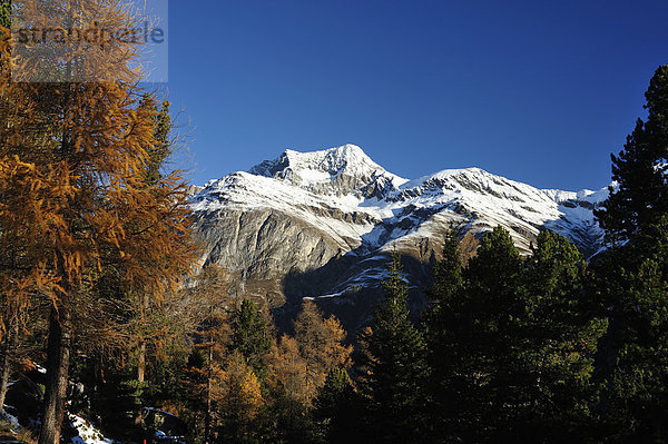 Europa Berg Alpen Herbst Kanton Graubünden Schweiz