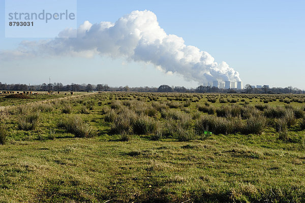 Spreewald Landschaftlich schön landschaftlich reizvoll Europa Energie energiegeladen Pflanze Atomkraftwerk Deutschland Sachsen