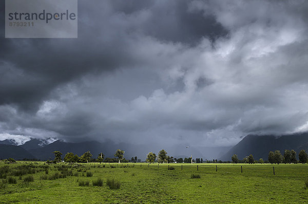 Weideland mit Gewitterwolken und Regenschauer  Südinsel  Neuseeland