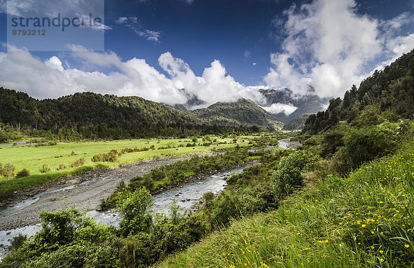 Typisches Tal in den Neuseeländischen Alpen  Westküste  Südinsel  Neuseeland