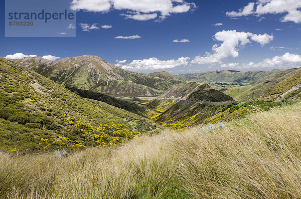 Berge und Weideland  Craigieburn Range  Porters Pass  Canterbury  Südinsel  Neuseeland