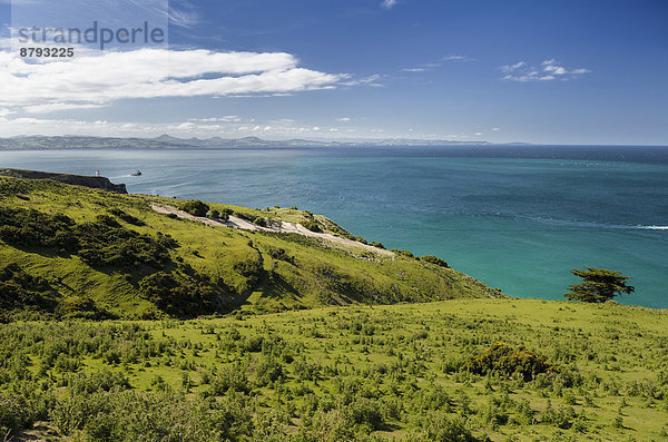 Grünes Weideland  Küste und türkisblaues Meer  Otago  Südinsel  Neuseeland