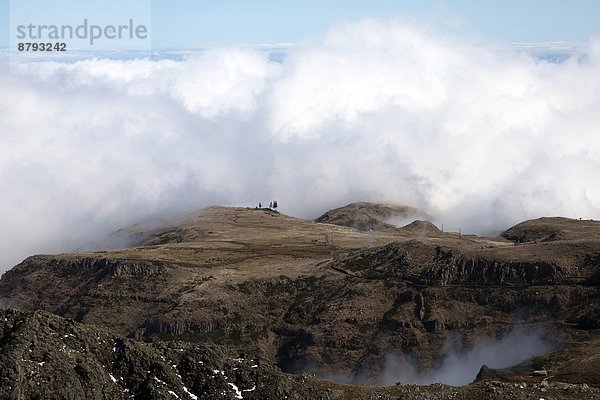 Pico do Arieiro in den Wolken  Madeira  Portugal