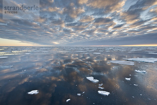 Spiegelung  Eisschollen  Packeis  Packeisgrenze  Arktischer Ozean  Insel Spitzbergen  Inselgruppe Spitzbergen  Svalbard und Jan Mayen  Norwegen