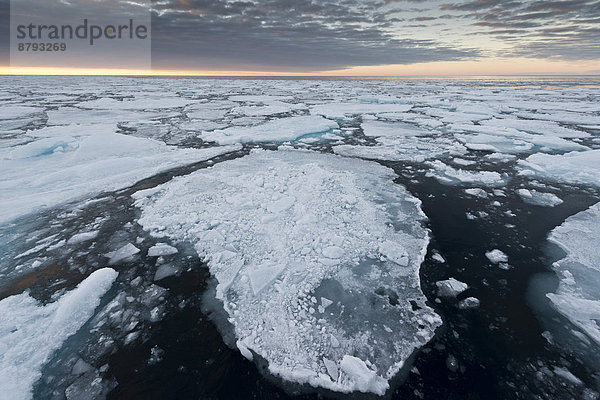 Eisschollen  Packeis  Abendstimmung  Arktischer Ozean  Insel Spitzbergen  Inselgruppe Spitzbergen  Svalbard und Jan Mayen  Norwegen