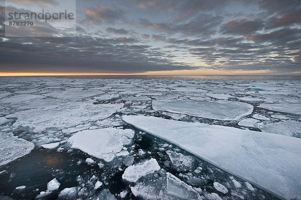 Eisschollen  Packeis  Abendstimmung  Arktischer Ozean  Insel Spitzbergen  Inselgruppe Spitzbergen  Svalbard und Jan Mayen  Norwegen