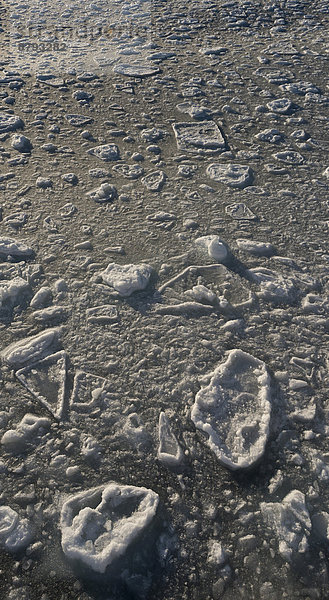 Gefrierendes Meer  Eisschollen  Packeis  Packeisgrenze  Arktischer Ozean  Insel Spitzbergen  Inselgruppe Spitzbergen  Svalbard und Jan Mayen  Norwegen