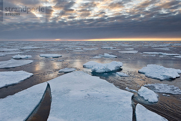 Eisschollen  Packeis  Packeisgrenze  Arktischer Ozean  Insel Spitzbergen  Inselgruppe Spitzbergen  Svalbard und Jan Mayen  Norwegen