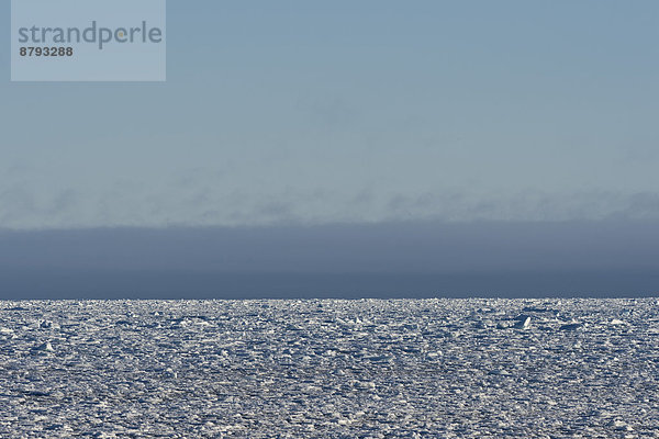 Eisschollen  Packeis  Arktischer Ozean  Insel Spitzbergen  Inselgruppe Spitzbergen  Svalbard und Jan Mayen  Norwegen