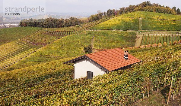 Italien Langhe Piemont