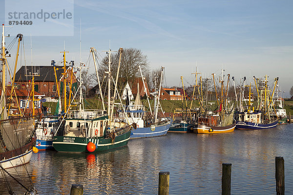 Fischerboote im Hafen  Greetsiel  Leybucht  Krummhörn  Ostfriesland  Niedersachsen  Deutschland