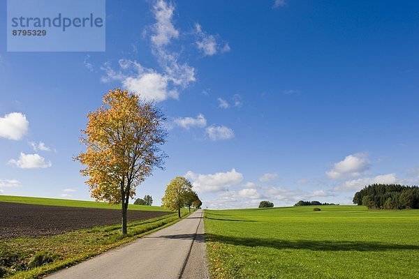 Bayern  Deutschland