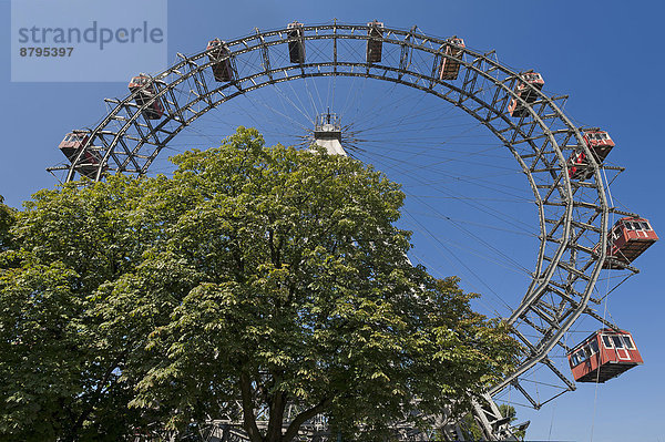 Wiener Riesenrad im Prater gegen blauen Himmel  Wien  Österreich