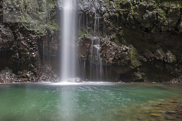 Wasserfall im Caldeirão Verde  Madeira  Portugal