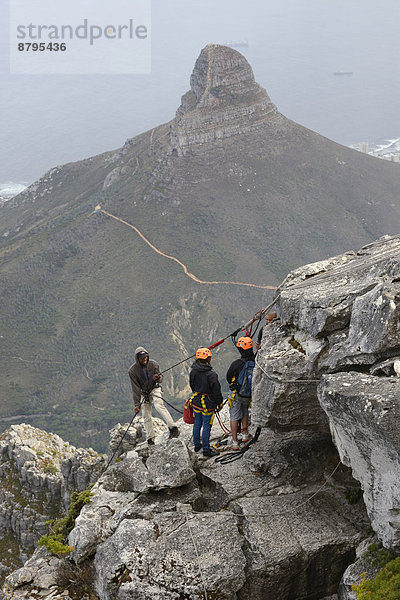 Bergsteiger am Tafelberg  hinten der Lion's Head  Kapstadt  Westkap  Südafrika