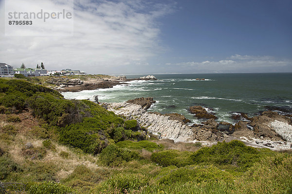 Die Küste bei Hermanus  Westkap  Südafrika