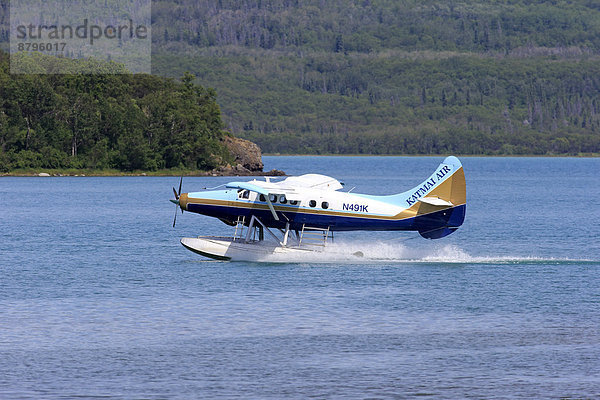 Wasserflugzeug  auf dem Wasser  startet  King Salmon  Alaska  USA