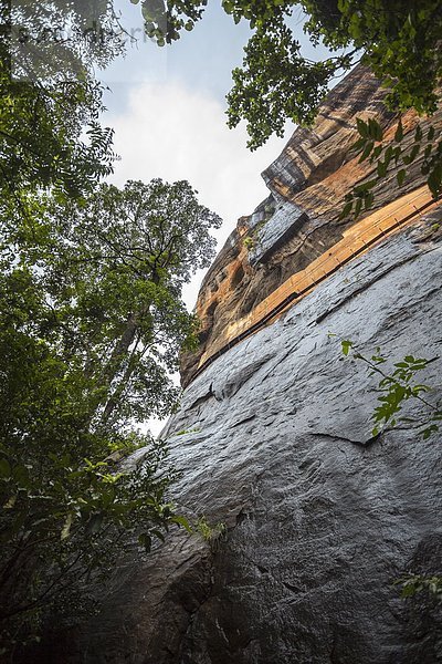 Felsbrocken Löwe Panthera leo Ansicht UNESCO-Welterbe Asien Sigiriya Sri Lanka