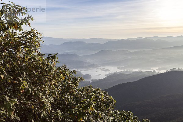 sehen  Hügel  Sonnenaufgang  Asien  Sri Lanka