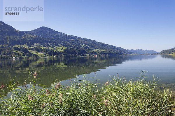 Europa  Allgäu  Bayern  Deutschland