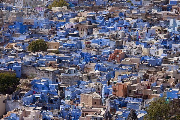 The Brahman Blue City  Brahmpuri area  of Jodhpur in Rajasthan  Northern India