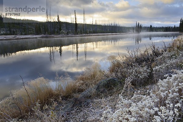 Vereinigte Staaten von Amerika  USA  Baum  Dunst  Fluss  Spiegelung  Nordamerika  Kälte  UNESCO-Welterbe  Yellowstone Nationalpark  Wyoming