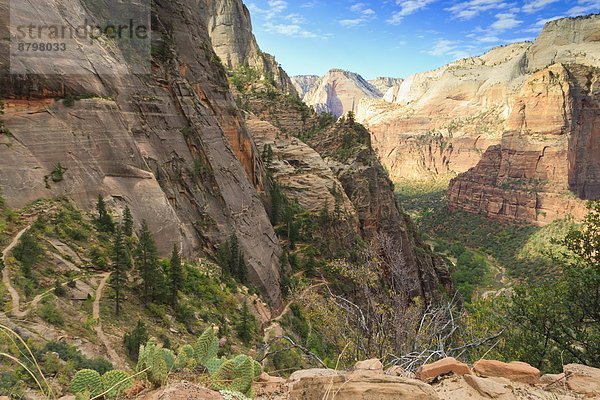 Vereinigte Staaten von Amerika  USA  aufspüren  folgen  Nordamerika  Ansicht  zeigen  Zion Nationalpark  Schlucht  Utah